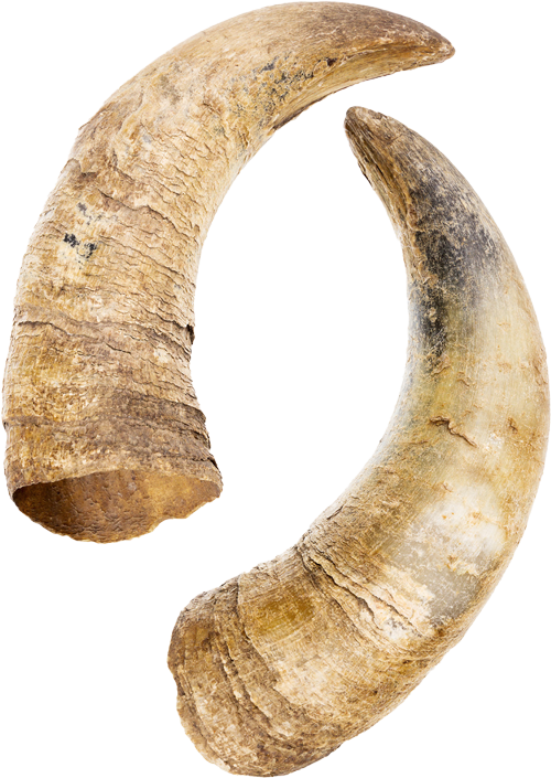 Three Semesters Painting by Jon Harris